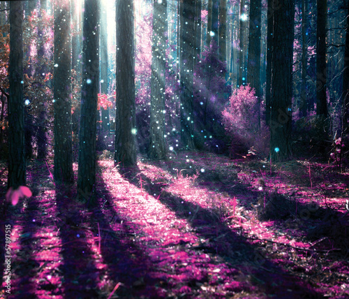 Obraz na płótnie canvas czteroczęściowy "tetraptyk" Krajobraz fantasy.