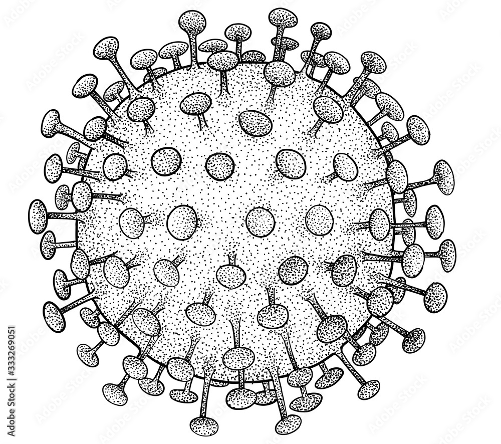 Hiv Virus Illustration Drawing Engraving Ink Line Art Vector Stock