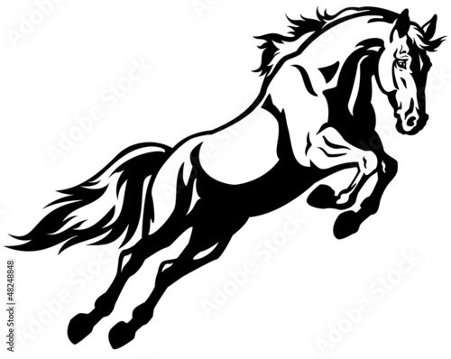 jumping horse black white