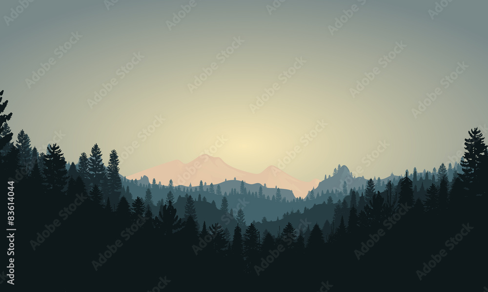 Forest Mountain Range Scene
