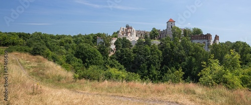 Castle in Poland ( Tenczynek castle) Cracow