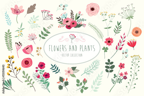 Flowers and plants. Hand drawn floral collection with flowers and leaves.