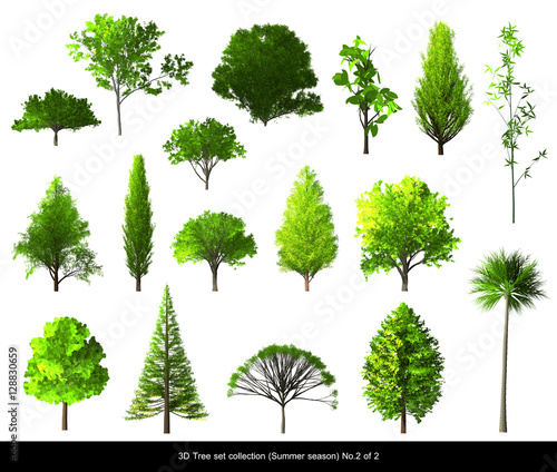 Green leaf Tree summer season set for architecture landscape design, 3D Tree isolated on white No.2