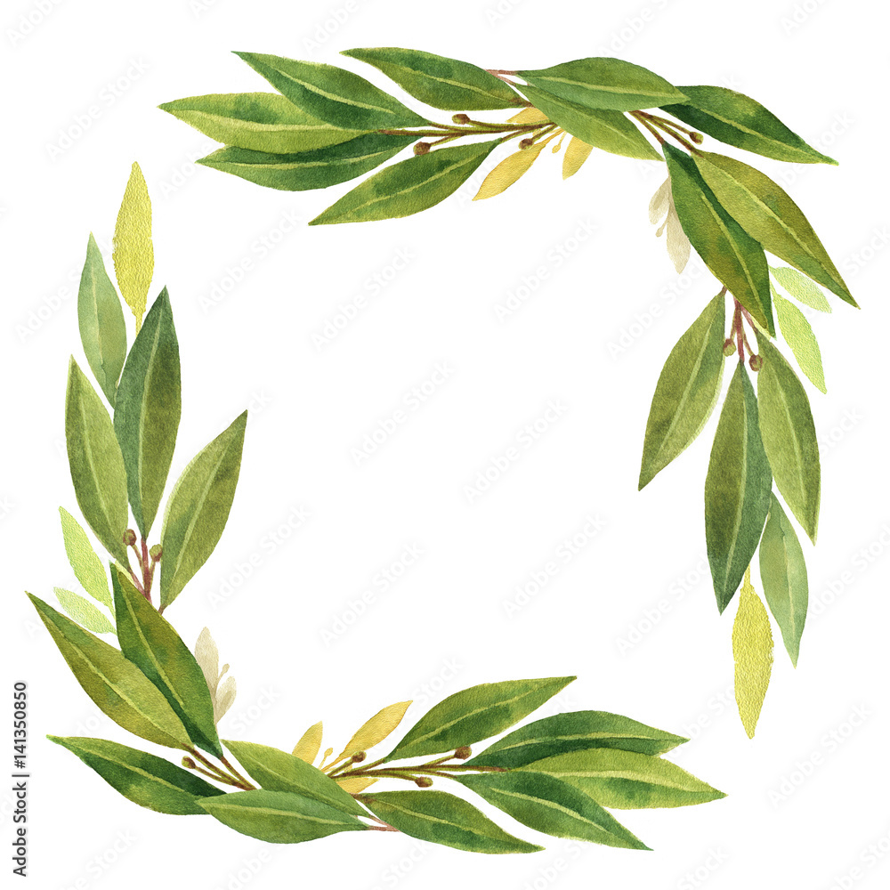 Watercolor Bay Leaf Wreath Isolated On White Background Stock