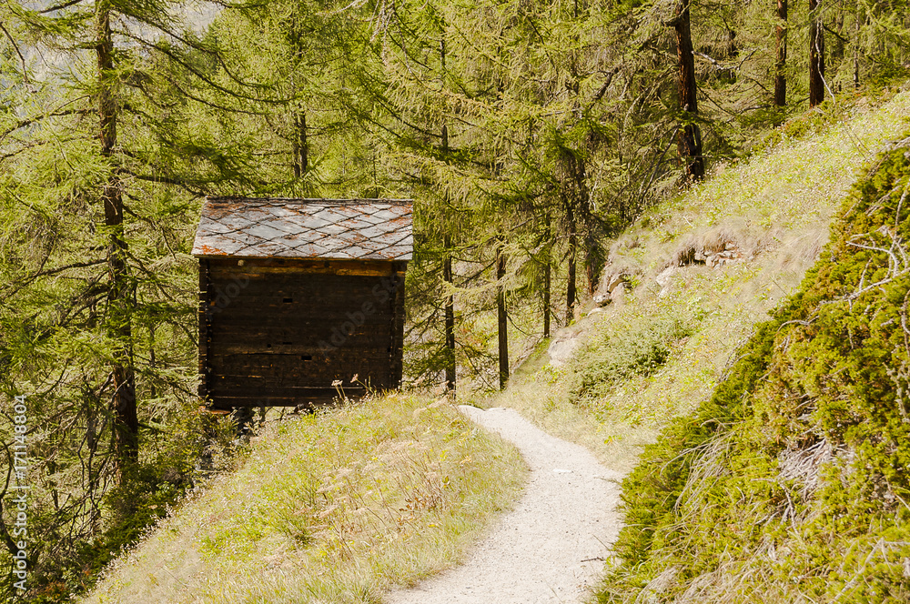 Zermatt Dorf Wallis Alpen Walliser Berge Wanderweg Findeln