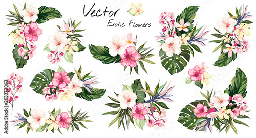 set Tropical vector flowers. card with floral illustration. Bouquet of flowers with exotic Leaf isolated on white background. composition for invitation to party or holiday