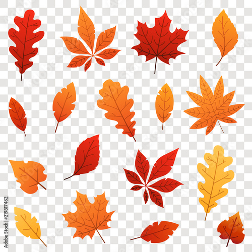 Colorful Autumn falling leaves isolated on transparent background. Vector illustration.