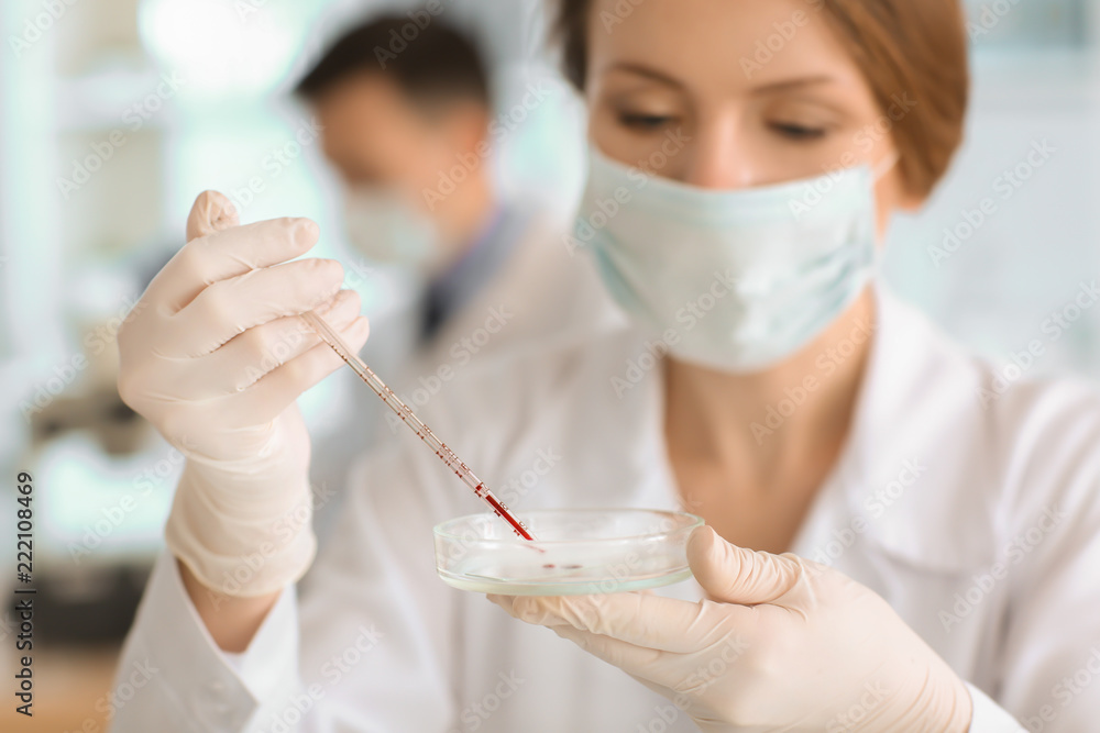 Scientist Working With Blood Sample In Laboratory Stock Photo Adobe Stock