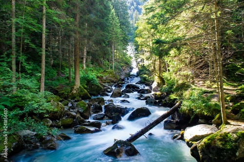waterfall landscape forest in trentino with dolomiti mountain