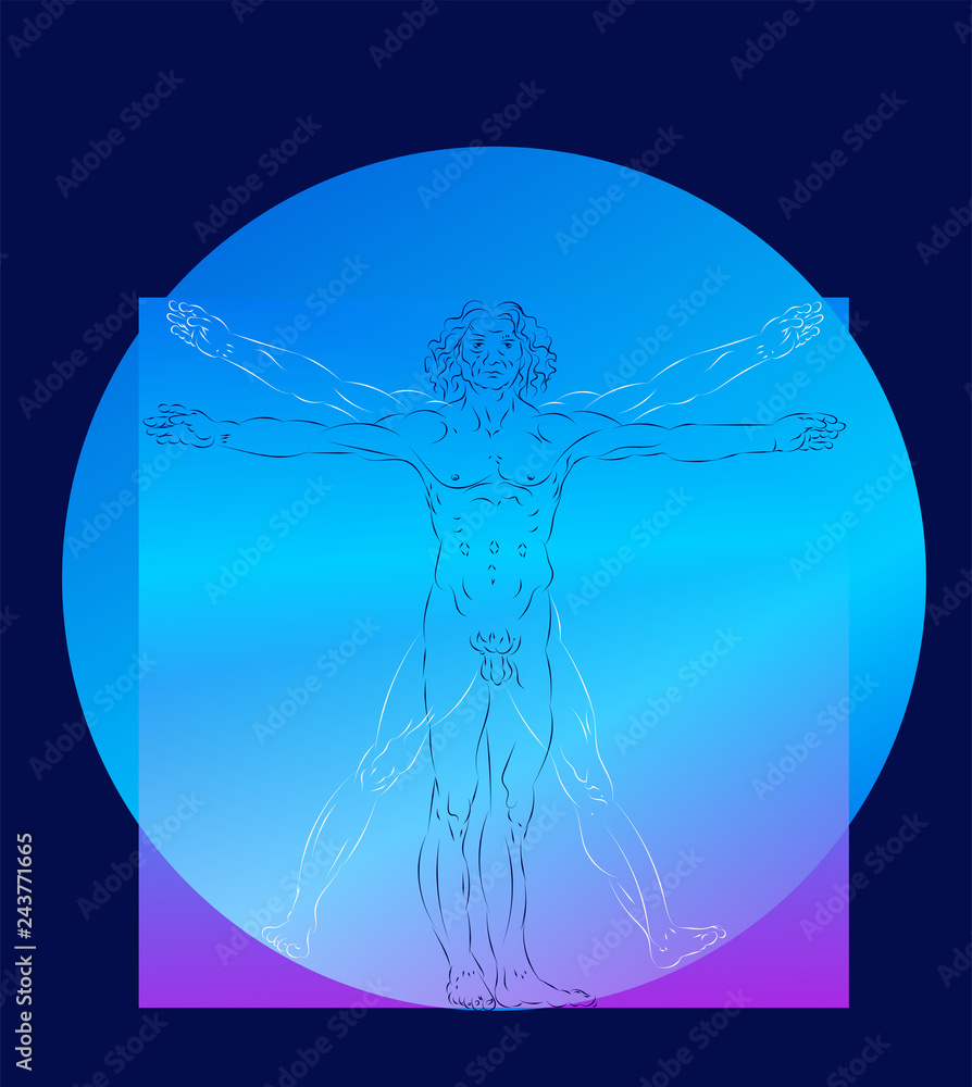 The Vitruvian Man Homo Vitruviano So Called The Vitruvian Man A K A