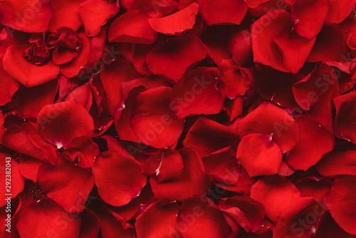 Background of red rose petals. Valentines day celebration concept. Top view. Flat lay.