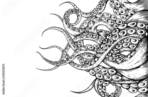 Tentacle hand draw on white background 