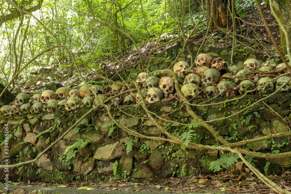 Skulls At Kuburan Terunyan Cemetery On The Island Of Bali Human Skulls