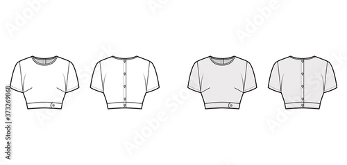 Under bust crop top technical fashion illustration with slim fit, crew neckline, back button fastenings, short sleeves. Flat blouse template front, back, white, grey color. Women men unisex shirt CAD