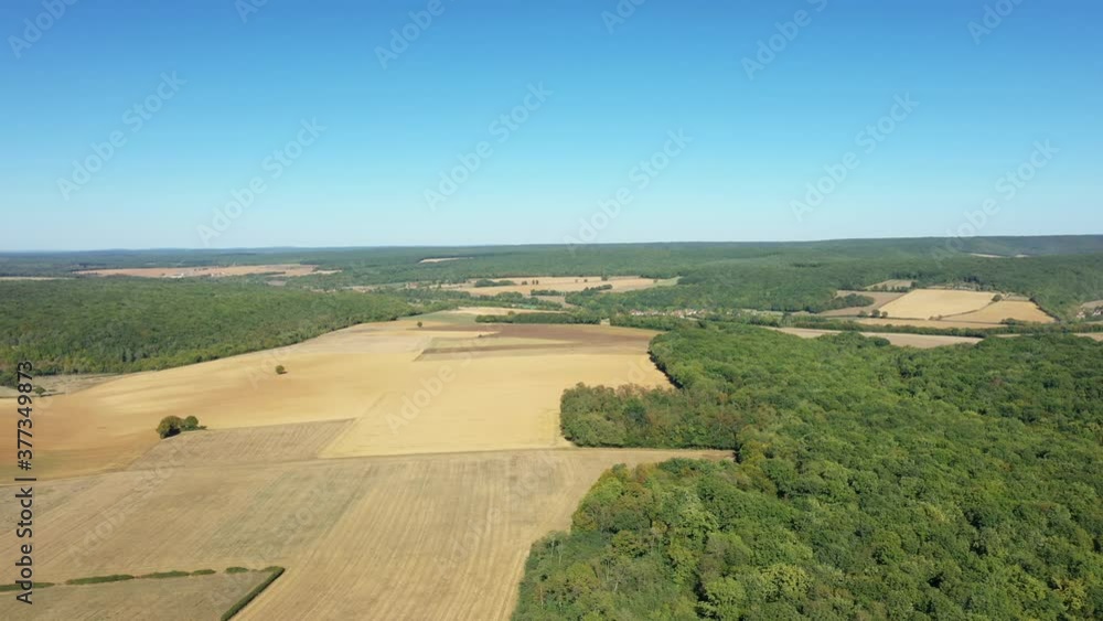 Les champs de blé après la moisson et les forêts verdoyantes du village