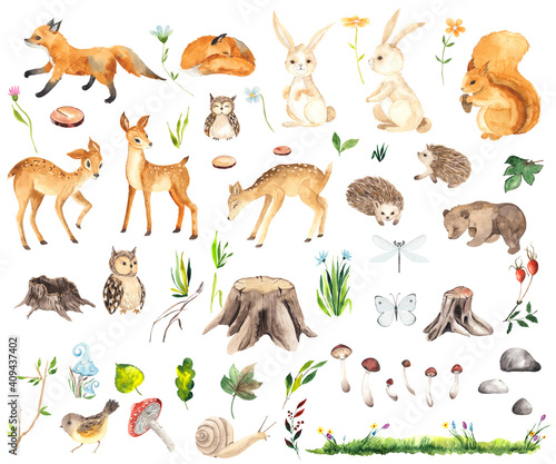 Watercolor Forest Animals elements with cute little deers, foxes, squirrel, hedgehogs, owls, bear, hares, stumps, mushrooms, flowers, twigs, grass, butterfly and dragonfly
