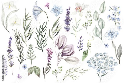 Set of watercolor eucalyptus leaves, herbs, branches, wildflowers,  orchid. Botanical clipart. Floral design elements.