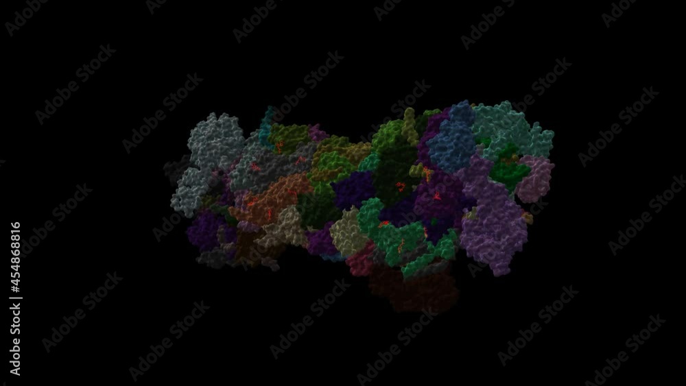 Structure Of Human S Proteasome Animated D Cartoon And Gaussian