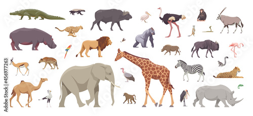 Flat set of african animals. Isolated animals on white background. Vector illustration