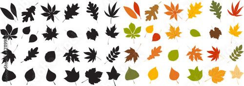 silhouette leaves set autumn on white background isolated, vector