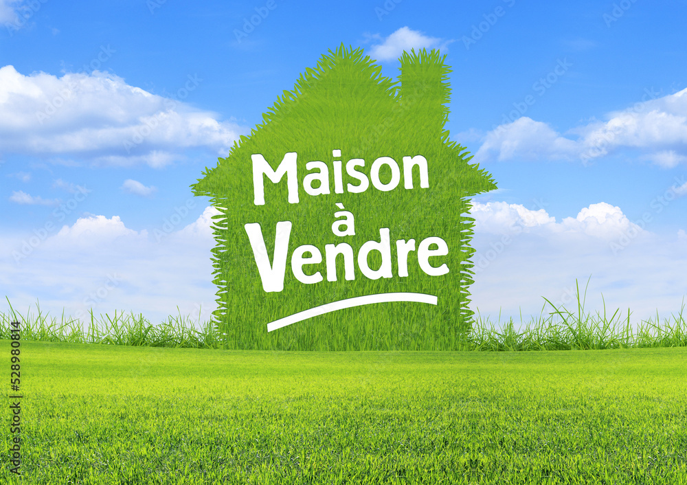 Foto de Maison à vendre affichage signalisation sur fond herbe et