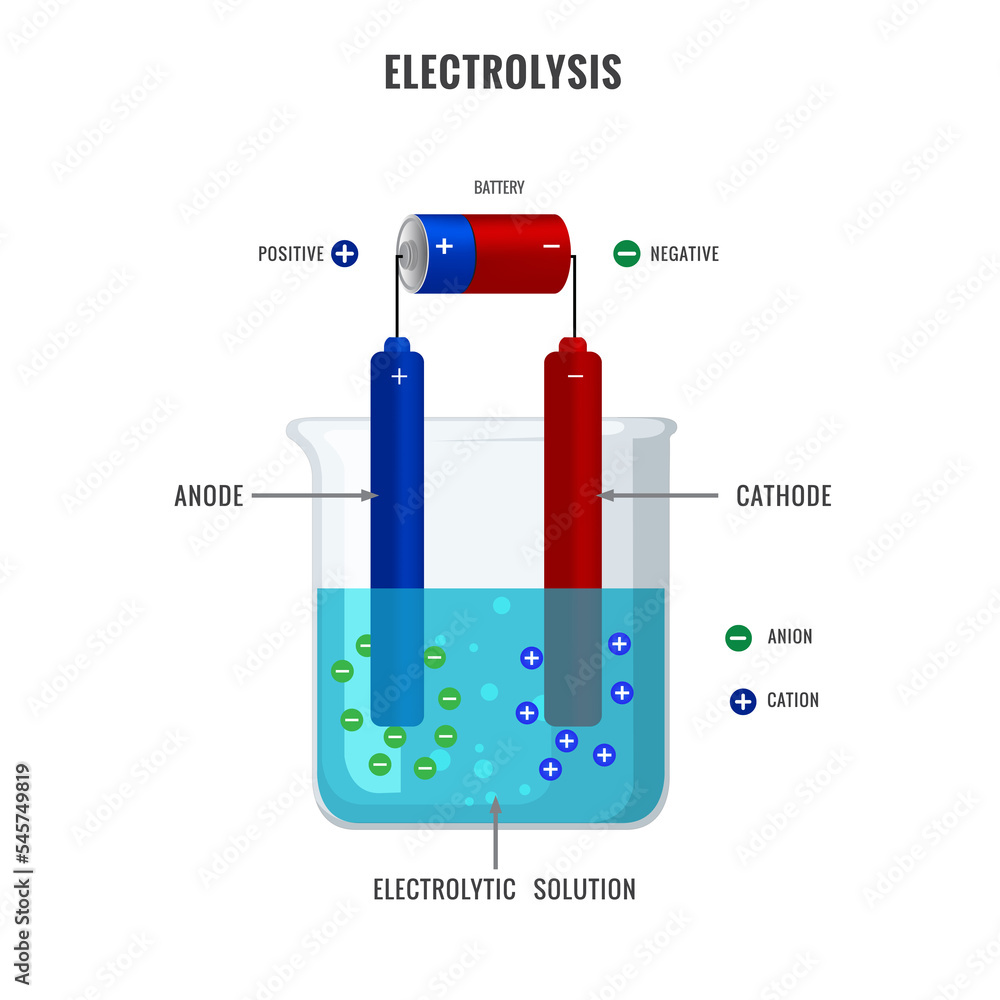 Electrolysis Of Electrolyte Solution In Electrochemistry Vector