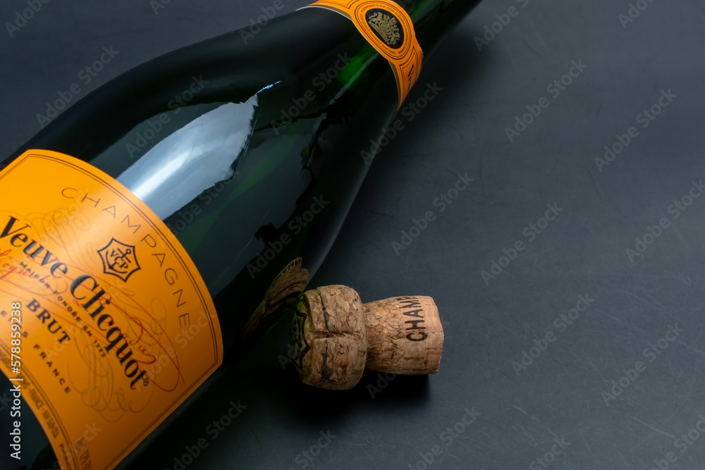 Veuve Clicquot The Widow Clicquot Famous Elite Champagne Bottle Of