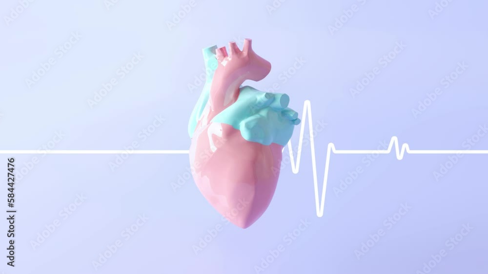 Anatomical Faithful Heart Beats On A Flat Pastel Background The Heart