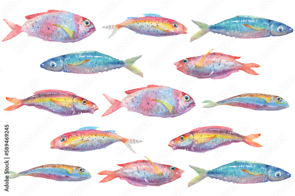 Shoal Of Fish Watercolor Drawing A Group Of Fish Watercolor Brush