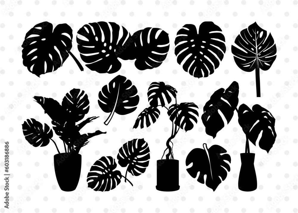 Monstera Svg Cut Files Monstera Silhouette Tropical Leaves Svg