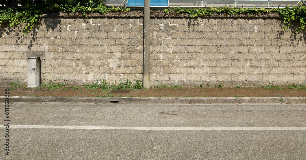 Rough Cinder Block Wall Cement Pole On Sidewalk Covered With Weeds And