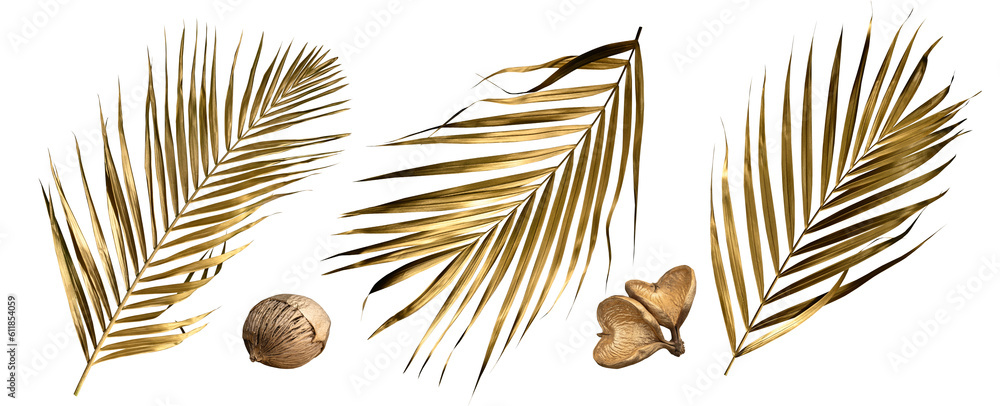 Golden Tropical Leaf Png On Transparent Background Abstract Monstera