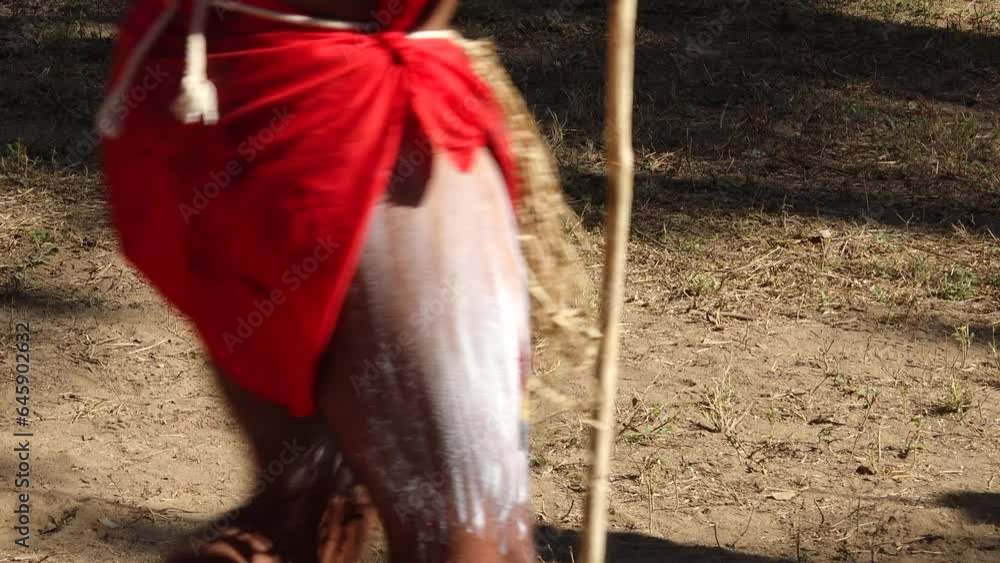 Aboriginal People Ceremonial Dancing In Laura Quinkan Dance Festival