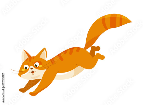 Cute orange cat vector