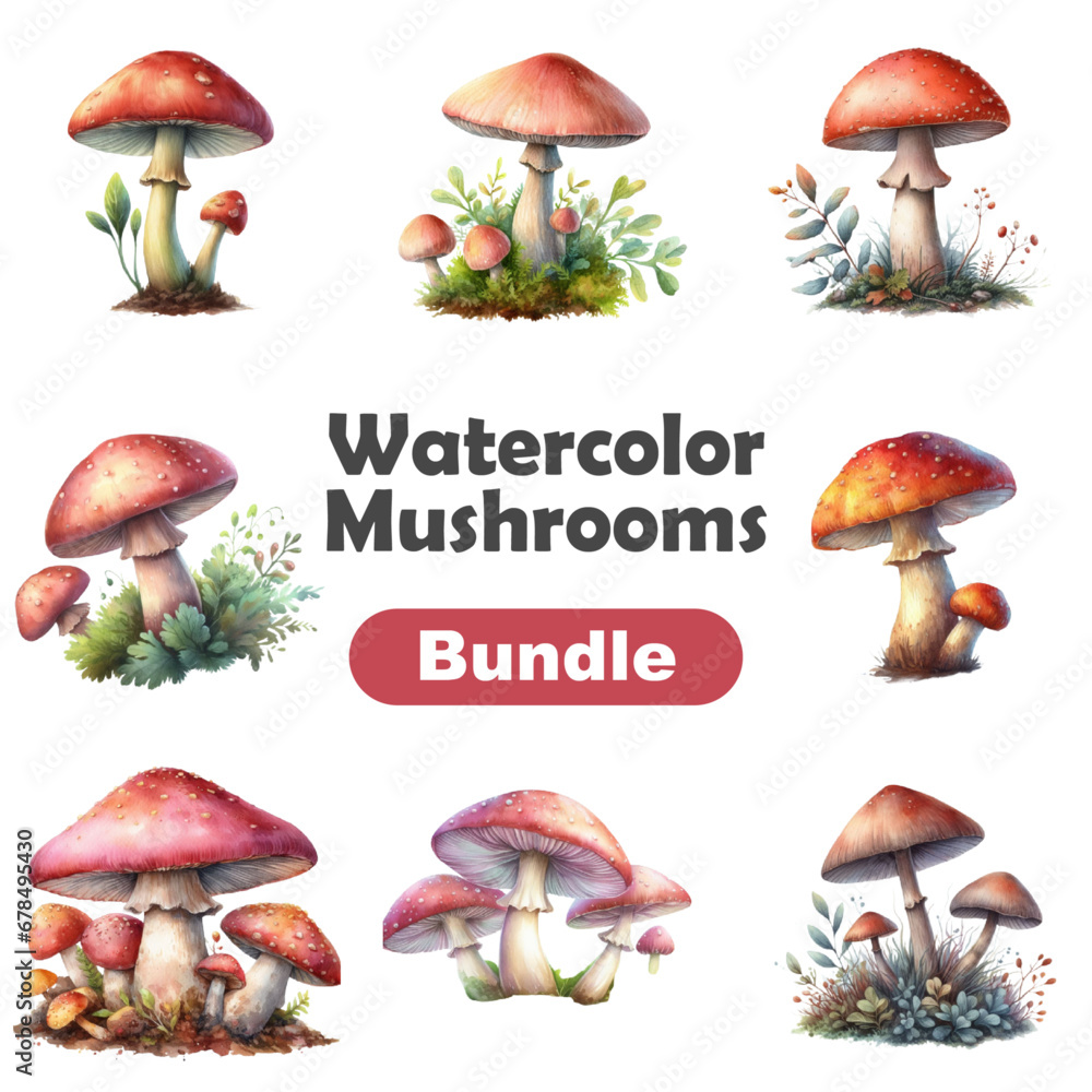 Watercolor Mushrooms Clipart Magic Mystical Mushrooms Bundle Mushroom