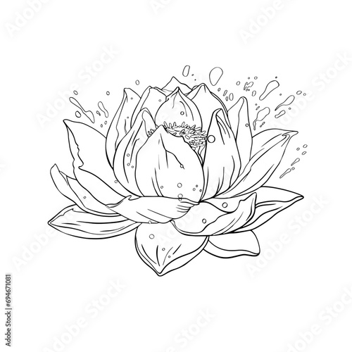 Lotus flower, magic shining lily flower on a white background. Illustration water flowers. outline, crap for a coloring magic lotus