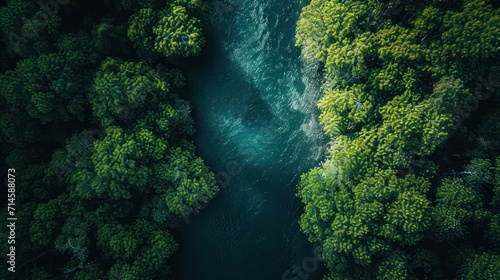  an aerial view of a river in the middle of a forest with lots of green trees on both sides of the river and a boat in the middle of the water.