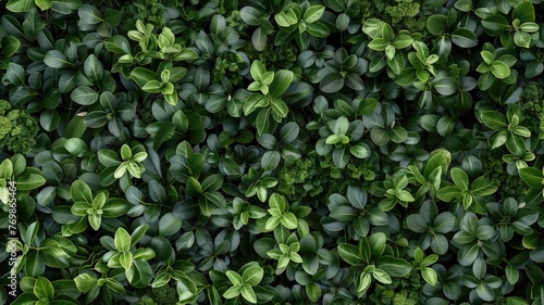 a green leaves background, showcasing a top view of a vibrant plant wall with a nature leaf texture, perfect for garden or landscape decoration and wallpaper design. SEAMLESS PATTERN