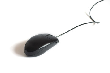 isolated black mouse