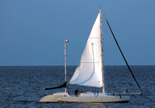Lone Sailboat