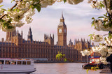 Fototapeta Big Ben - big ben on the thames