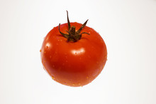 Single Red, Ripe Tomato Covered With Water Droplet