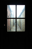 Fototapeta Na ścianę - view through the door