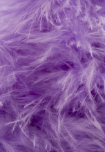 Purple Feather Abstract Background