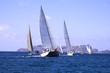 canvas print picture sailing in competition
