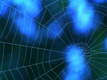 Blue Spider Web