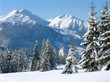 alpine snow scene