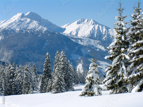 scena-sniegu-alpejskiego