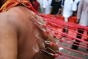 thaipusam devotees walk