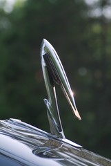 Wall Mural - chrome hood ornament